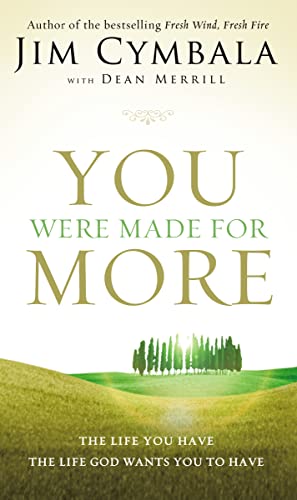 9780310340881: You Were Made for More: The Life You Have, the Life God Wants You to Have