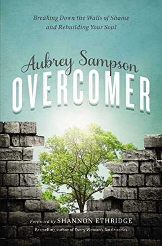 Stock image for Overcomer: Breaking Down the Walls of Shame and Rebuilding Your Soul for sale by Your Online Bookstore