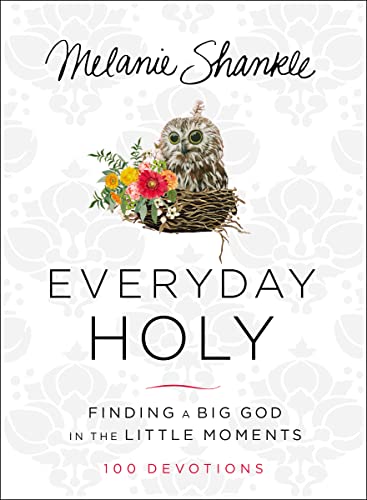 9780310346685: Everyday Holy: Finding a Big God in the Little Moments