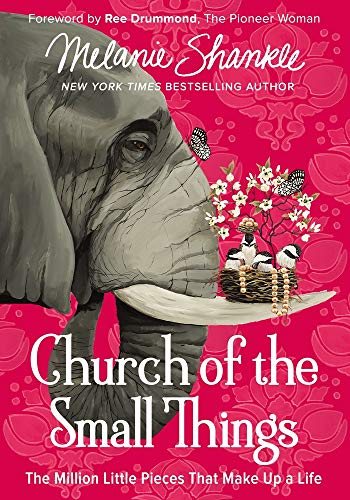 Stock image for Church of the Small Things: The Million Little Pieces That Make Up a Life for sale by Your Online Bookstore