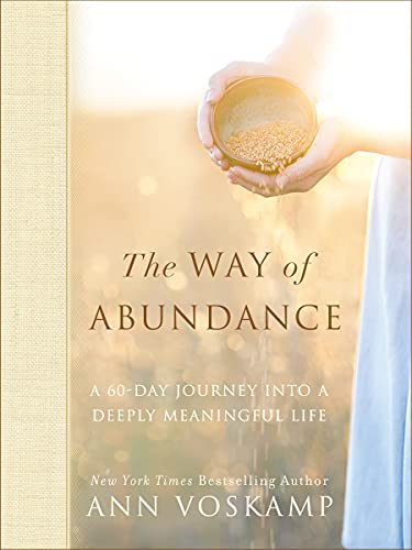 Imagen de archivo de The Way of Abundance : A 60-Day Journey into a Deeply Meaningful Life a la venta por Better World Books