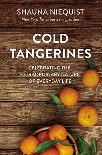 9780310360827: Cold Tangerines: Celebrating the Extraordinary Nature of Everyday Life