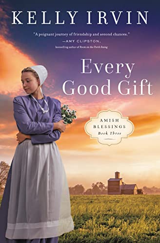 Beispielbild fr Every Good Gift: 3 (Amish Blessings) zum Verkauf von Monster Bookshop