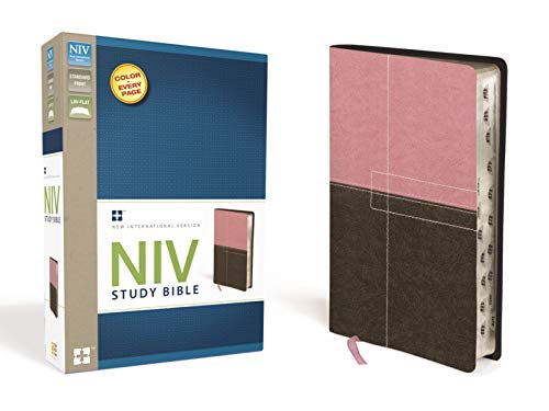 9780310426646: NIV Study Bible, Leathersoft, Pink/Brown, Red Letter, Thumb Indexed