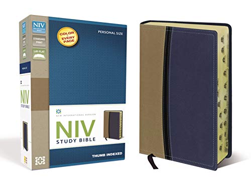 NIV Study Bible, Imitation Leather, Tan/Blue, Indexed, Red Letter Edition
