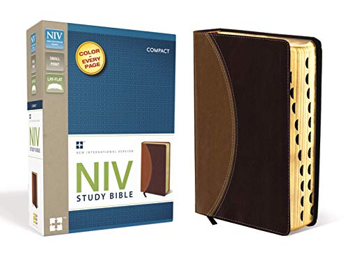 9780310428527: Holy Bible: New International Version, Tan / Burgundy, Italian Duo-Tone, Study Bible