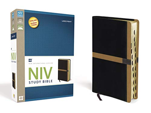 9780310428985: Study Bible-NIV-Large Print