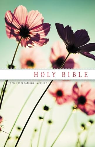 Beispielbild fr Holy Bible: New International Version, Witness zum Verkauf von AwesomeBooks