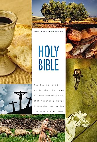 Stock image for NIV, Holy Bible Textbook Edition, Hardcover for sale by SecondSale