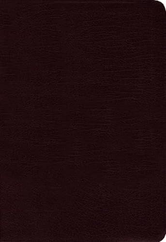 9780310435440: Holy Bible: New International Version Burgundy Bonded Leather Thinline