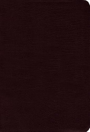 9780310435440: NIV, Thinline Bible, Compact, Bonded Leather, Burgundy, Red Letter Edition