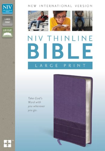 9780310435990: Holy Bible: New International Version Purple / Plum Italian Duo-Tone Thinline, Lay-Flat, Thinline
