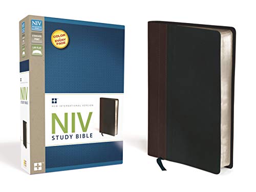 9780310437468: Study Bible-NIV