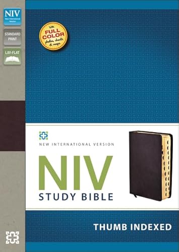 9780310437505: Niv Study Bible: New International Version, Burgundy, Bonded Leather