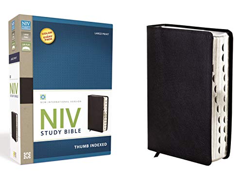 9780310437581: Holy Bible: New International Version Black Bonded Leather Study Bible