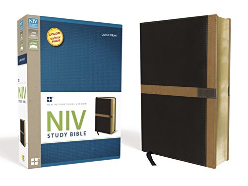 9780310438670: Study Bible-NIV-Large Print