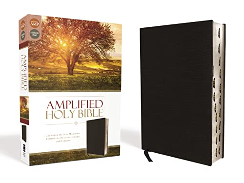 Beispielbild fr Holy Bible: Amplified, Black, Bonded Leather, Captures the Full Meaning Behind the Original Greek and Hebrew zum Verkauf von Revaluation Books