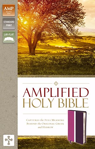 9780310443964: Amplified Holy Bible, Leathersoft, Pink/Purple: Captures the Full Meaning Behind the Original Greek and Hebrew