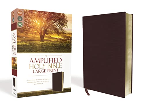9780310444053: Amplified Holy Bible, Large Print, Bonded Leather, Burgundy: Captures the Full Meaning Behind the Original Greek and Hebrew