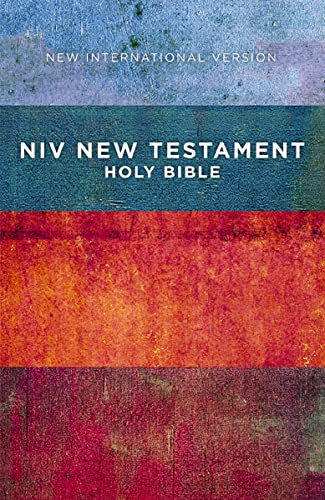 Stock image for Outreach New Testament: New International Version, Red / Blue Stripes for sale by Your Online Bookstore