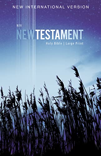 9780310446439: NIV, Outreach New Testament, Large Print, Paperback: New International Version, Blue Wheat