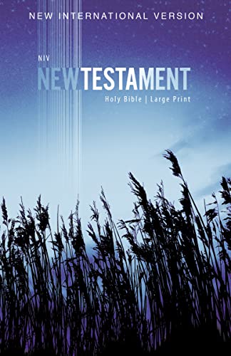 Stock image for NIV, OUTREACH NEW TESTAMENT, LARGE PRINT, PAPERBACK.NEW INTERNATIONAL VERSION.HOLY BIBLE for sale by WONDERFUL BOOKS BY MAIL