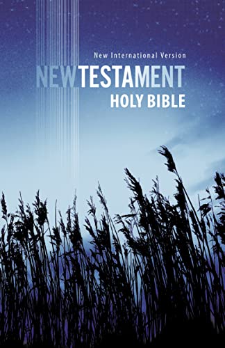 Beispielbild fr Holy Bible: New International Version, Outreach New Testament zum Verkauf von Wonder Book