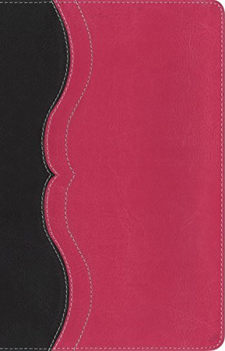 9780310446989: Quest Study Bible: New International Version, Charcoal/Pink, Leathersoft, Personal Size: The Question & Answer Study Bible