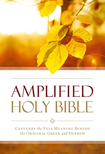 Imagen de archivo de Amplified Outreach Bible, Paperback: Capture the Full Meaning Behind the Original Greek and Hebrew a la venta por Revaluation Books