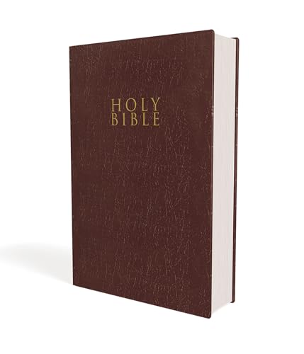 Beispielbild fr Niv, Gift and Award Bible, Leather-Look, Burgundy, Red Letter Edition, Comfort Print zum Verkauf von Blackwell's