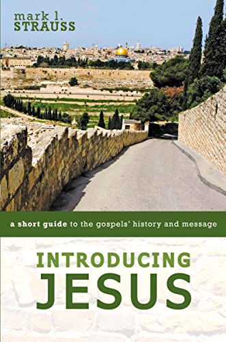 Beispielbild fr Introducing Jesus: A Short Guide to the Gospels' History and Message zum Verkauf von A Team Books