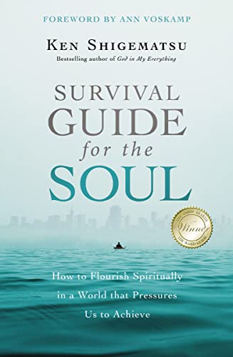 9780310535324: Survival Guide for the Soul: How to Flourish Spiritually in a World that Pressures Us to Achieve