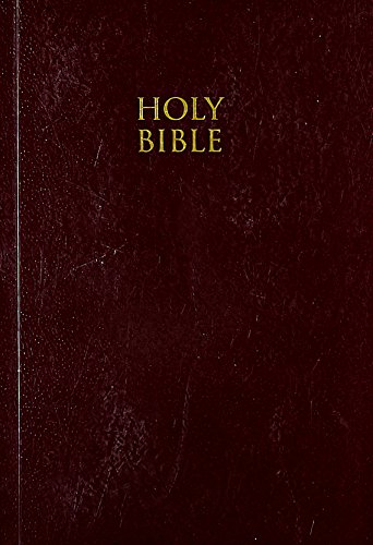 Stock image for NIV HOLY BIBLE Burgundy for sale by Wonder Book