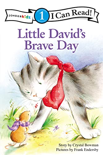 9780310717096: Little David's Brave Day: Level 1