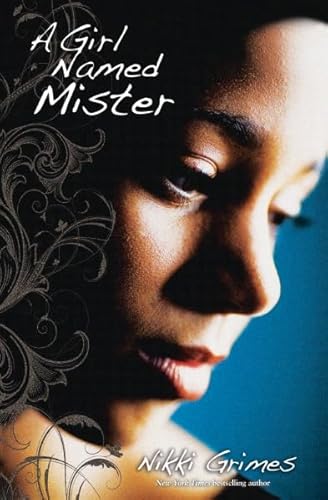 9780310720782: A Girl Named Mister