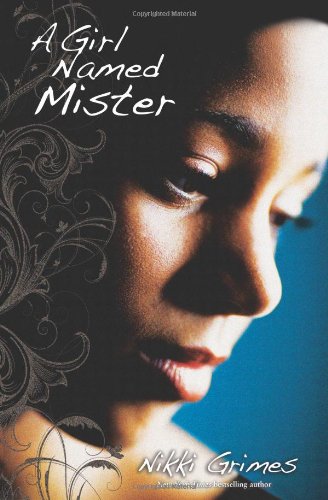 9780310720782: A Girl Named Mister