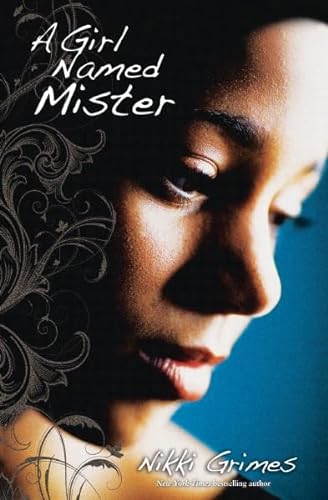 9780310720782: A Girl Named Mister