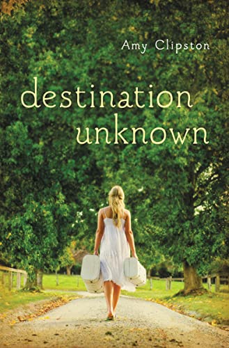 Stock image for Destination Unknown for sale by Books-FYI, Inc.