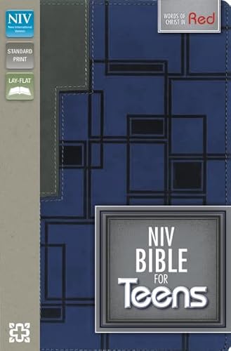 9780310744221: Holy Bible: New International Version, Charcoal / Blue, Italian Duo-Tone, For Teens