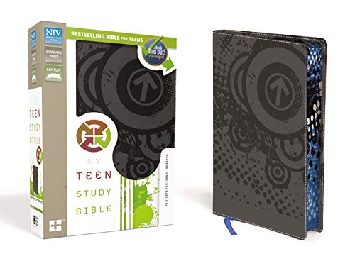 9780310745747: NIV, Teen Study Bible, Leathersoft, Gray, Printed Page Edges