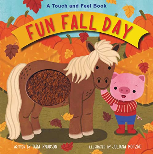 Beispielbild fr Fun Fall Day: A Touch and Feel Board Book zum Verkauf von SecondSale