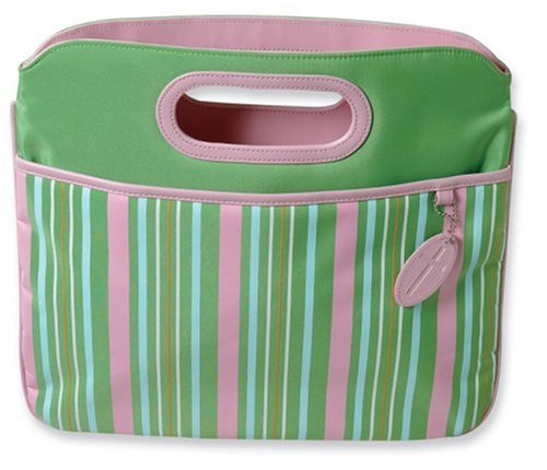 Spring Stripes Carrier with Clutch Handles (9780310818595) by Zondervan Publishing