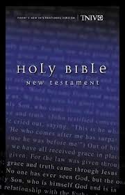 Stock image for TNIV New Testament for sale by SecondSale