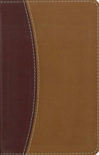 Stock image for NIV Compact Thinline Reference Bible, Italian Duo-tone, Burgundy / Tan for sale by HPB-Diamond