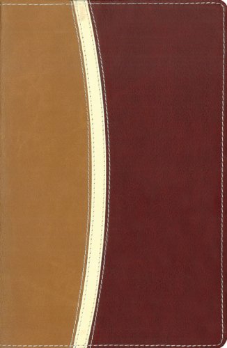 9780310937883: Holy Bible: New International Version, Camel/ Burgundy, Italian Duo-tone, Reference, Personal Size