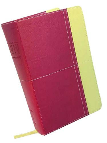 9780310940876: Holy Bible: Today's New International Version, Razzleberry/Melon Green, Italian Duo-tone, Study Bible, Personal Size