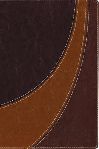 Stock image for NIV, The Case for Christ Study Bible, Imitation Leather, Brown: Investigating the Evidence for Belief for sale by Wizard Books