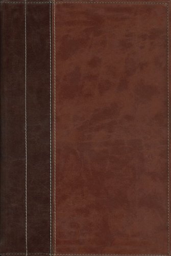 Beispielbild fr NIV Archaeological Study Bible: An Illustrated Walk Through Biblical History and Culture zum Verkauf von PAPER CAVALIER UK