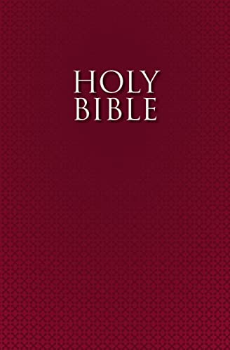 9780310950806: NIRV Bible for Esl Readers Red