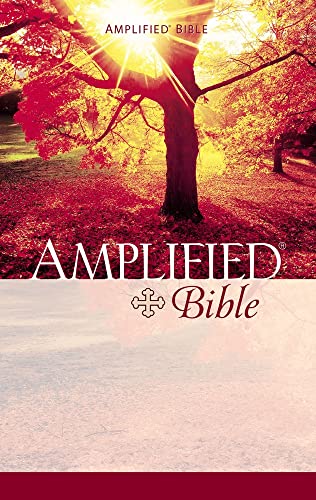 9780310951414: Amplified Bible, Paperback